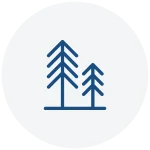 forestry icon